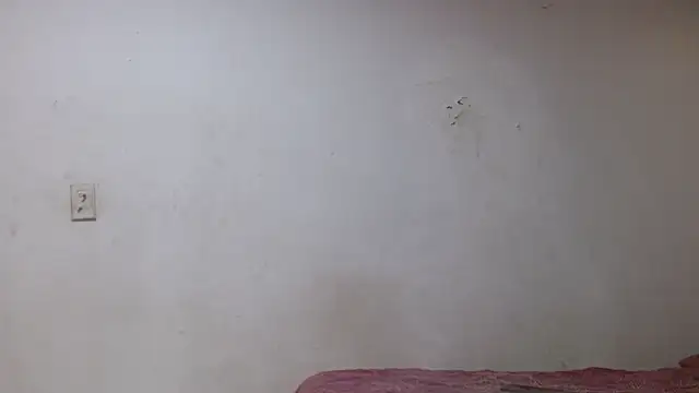 pircohg Show in webcam