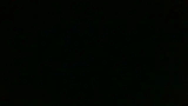 Show webcam de Chichoplus1