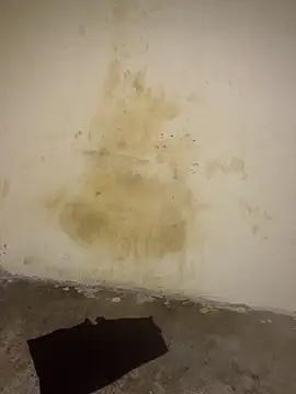 Živý XXX chat AngelaZamera