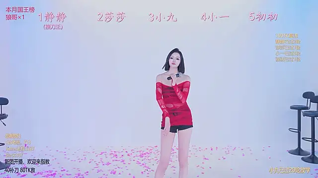 TY-002 Show Webcam