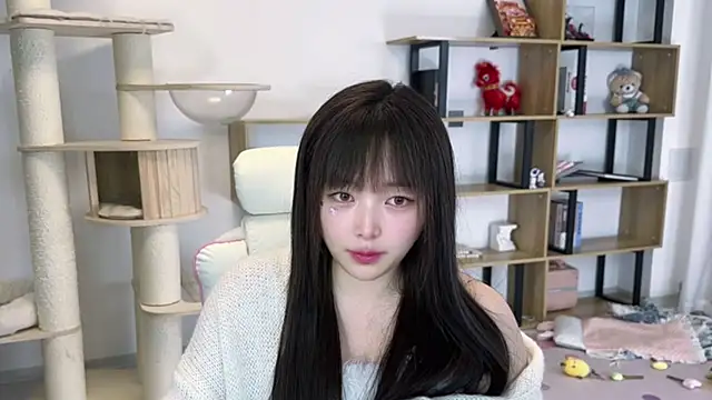 SakuraCat6 网络视讯表演
