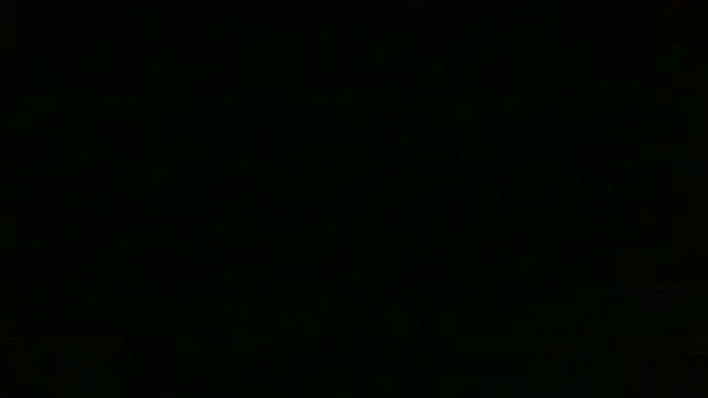 Chichoplus1 Show in webcam