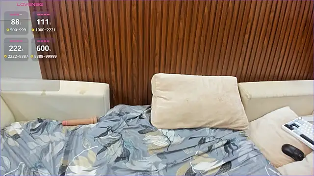 Show webcam de icydiva