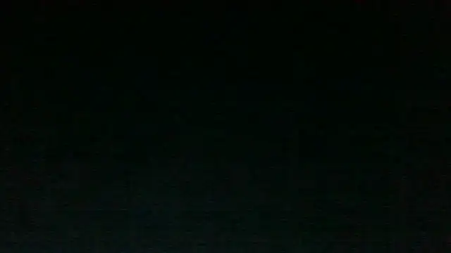 Show webcam de Chichoplus1