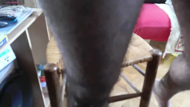 IndienTiger Webcam Show