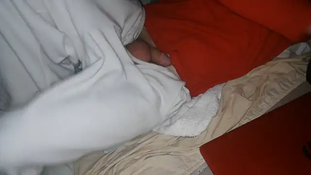 Show webcam de Mac_ThunderDick