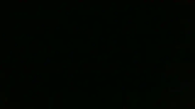 Chichoplus1 élő XXX-chatje