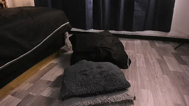 Lucio__Fox Pertunjukan Webcam
