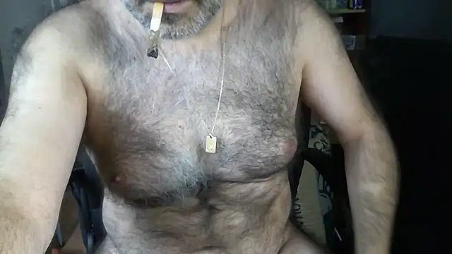 Show modela arka6 na web-kameri