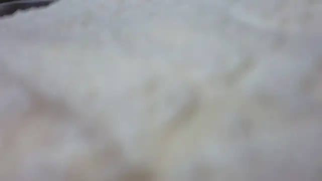 Pertunjukan Kamera Web __marina__
