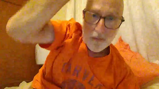 Show webcam de wolfi867