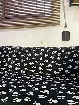 عرض كام cody_fox10