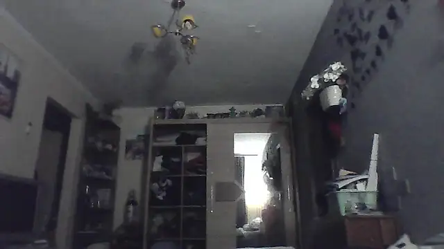 Show webcam de ChargedReign