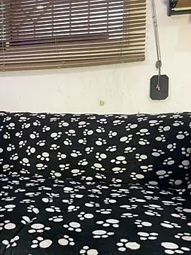 cody_fox10 Pertunjukan Webcam