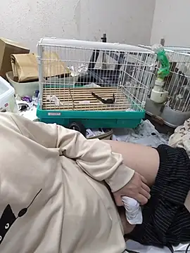 youheikunのウェブカメラショー