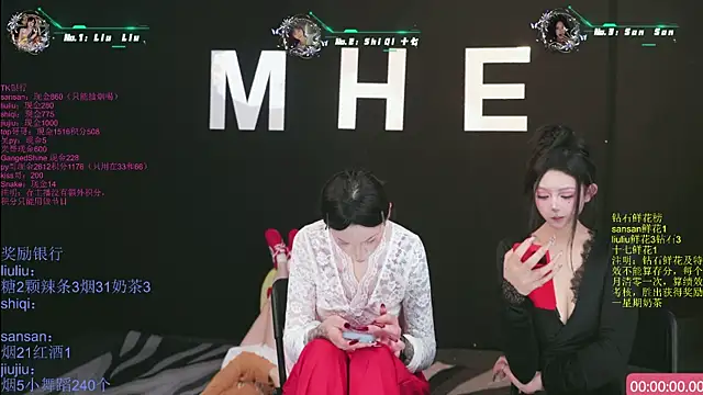 MHe-002のウェブカメラショー