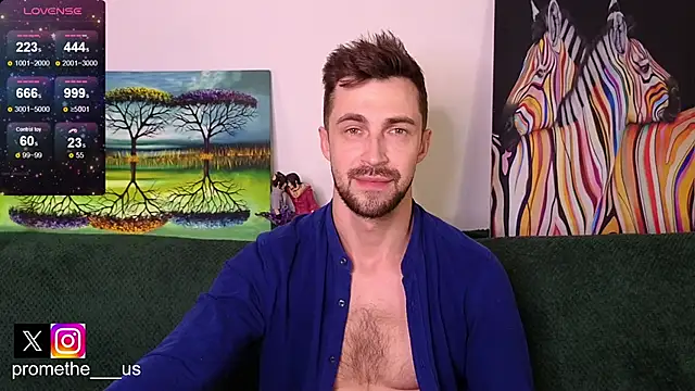 Show Webcam de Promethe_us