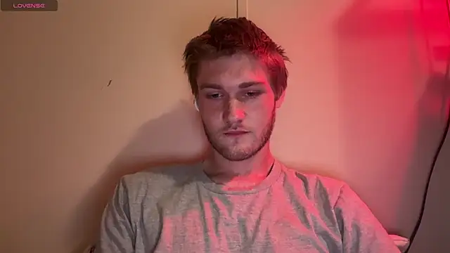 Show webcam de anomalies_ig