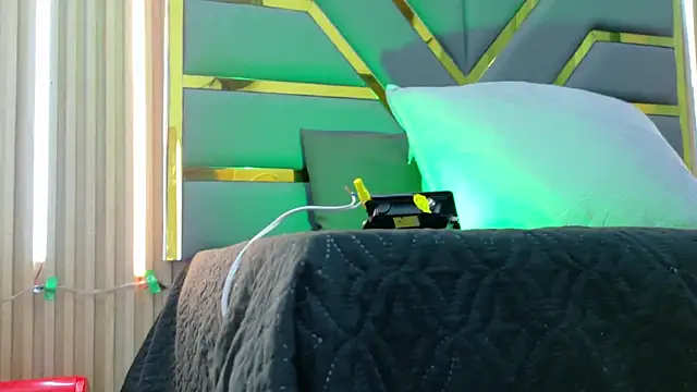 Leo_Miller_n Webbikameraesitys