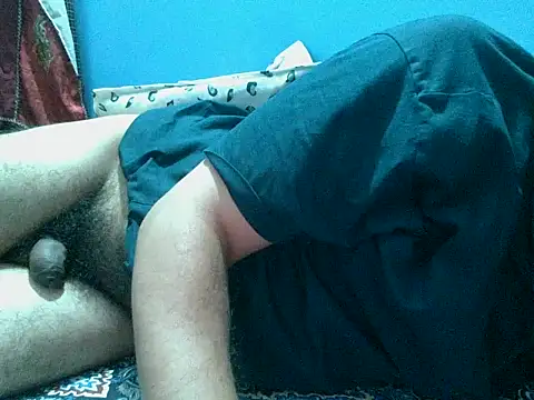 Precumboner Webcam-Show
