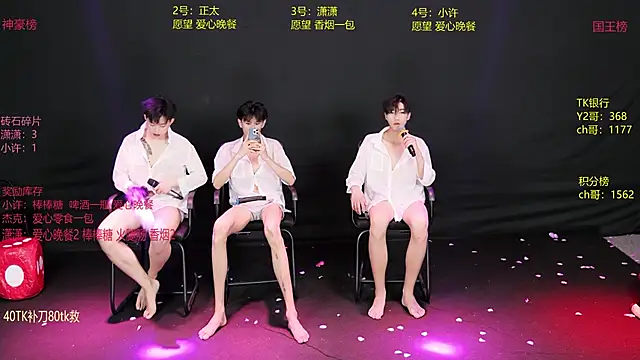 WildBoys-001's Webcam Show