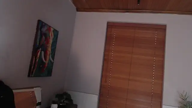 Andy_Joy_ 网络视讯表演