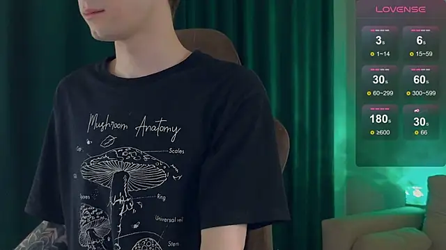 Show Webcam de DebugMee