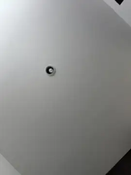 AlannaEvons Pertunjukan Webcam
