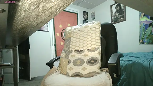 XxBobbyDigitalxX's Webcam Show