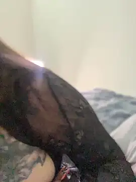 Chat XXX Live harleycakess