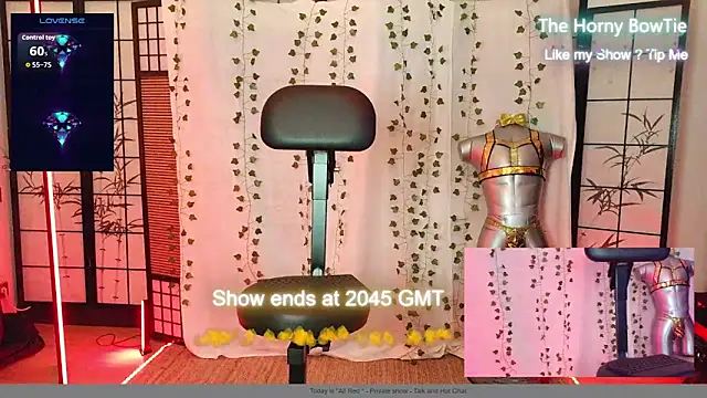 thehornybowtie's Webcam Show