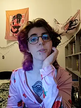Show Webcam de jaadetrans