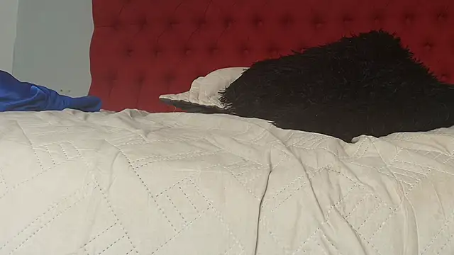 Chat XXX Live alix_rada
