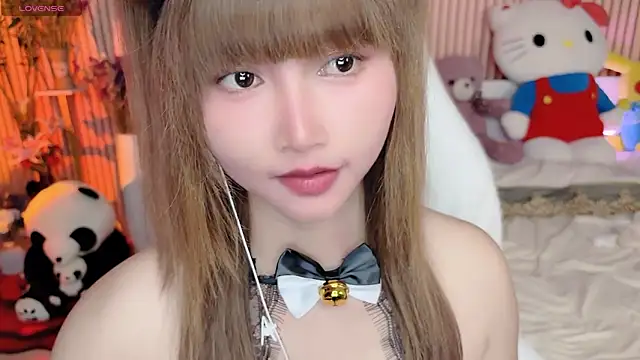 Show webcam de di-or-