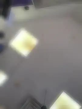 XXX chat uživo modela ryder393
