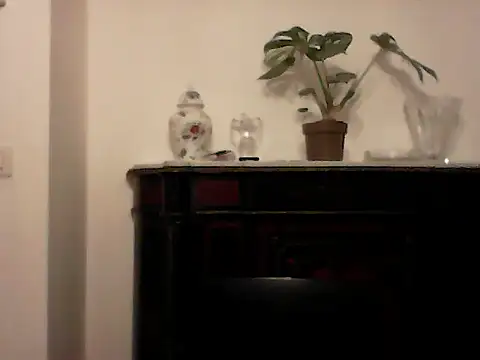 Lambe91 Webcam show