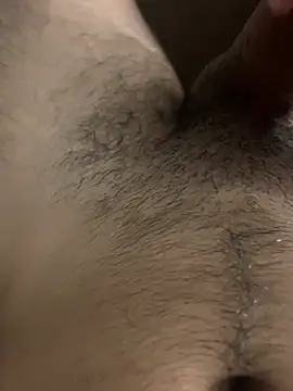 aminebigdick 在線直播表演