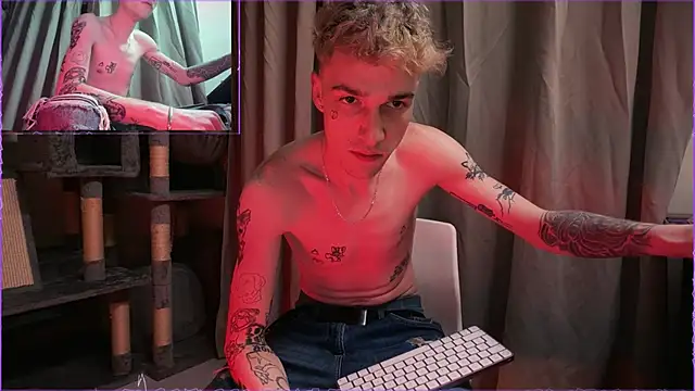 davesinner Show in webcam