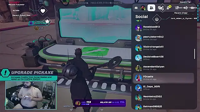 Show webcam de bottombeargaming