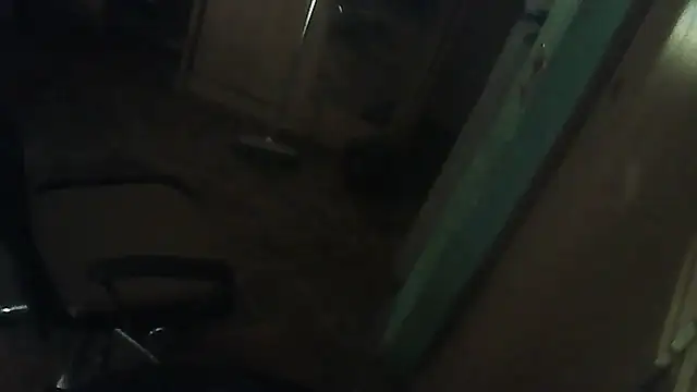 Show Webcam de perversalus