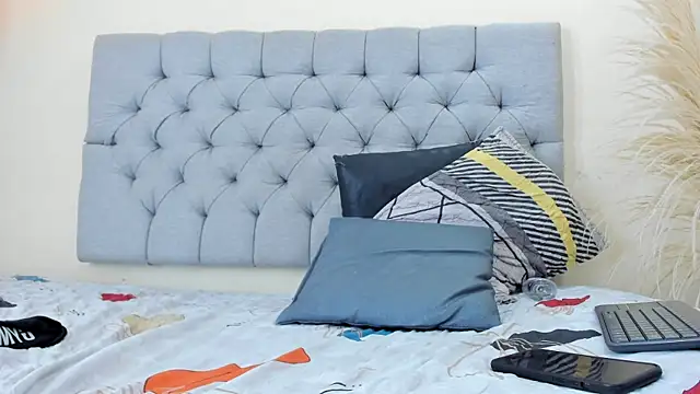 Show webcam de bruno_miller_