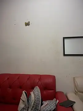 NovaFoxx's Live XXX Chat