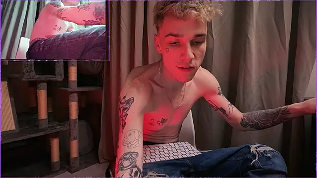 Show webcam de davesinner