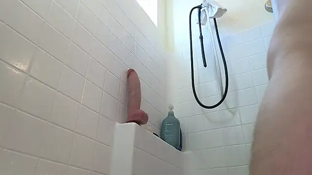 AHoleViben Webbikameraesitys