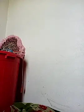 Hoa-tuylip webkamerás műsora