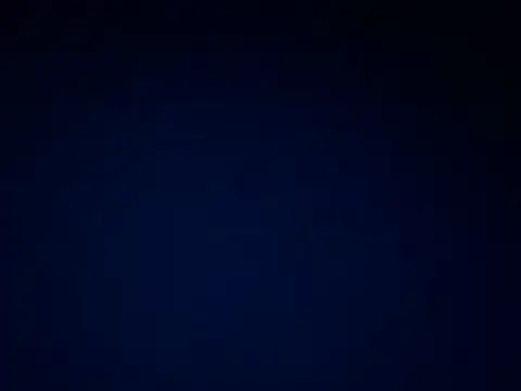 Show Webcam de codyross