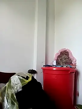 Hoa-tuylip 网络视讯表演