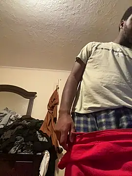 ThickDic28 Show in webcam