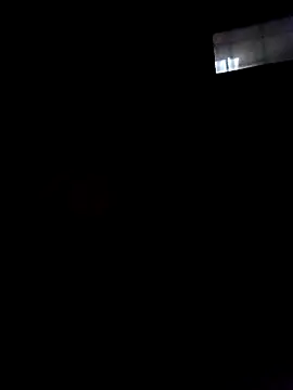 Pichoneterno's Webcam Show