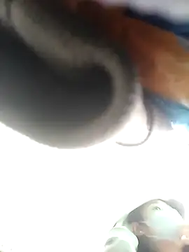 __Halen__ Show Webcam